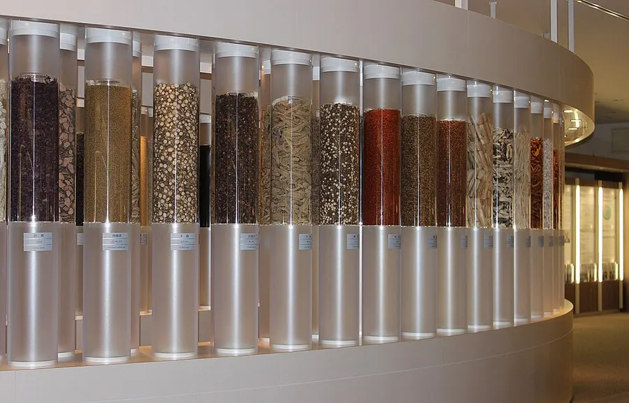 Chinese Herbal Medicine — traditional medicine tradition