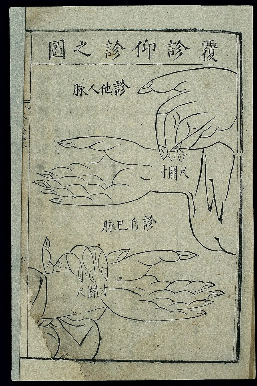 Wang Ju