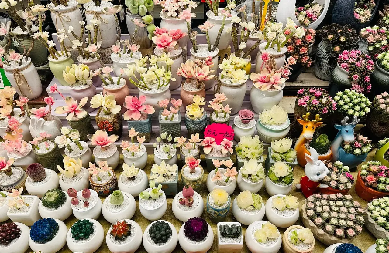 Southern flower markets full of blooms awaiting buyers