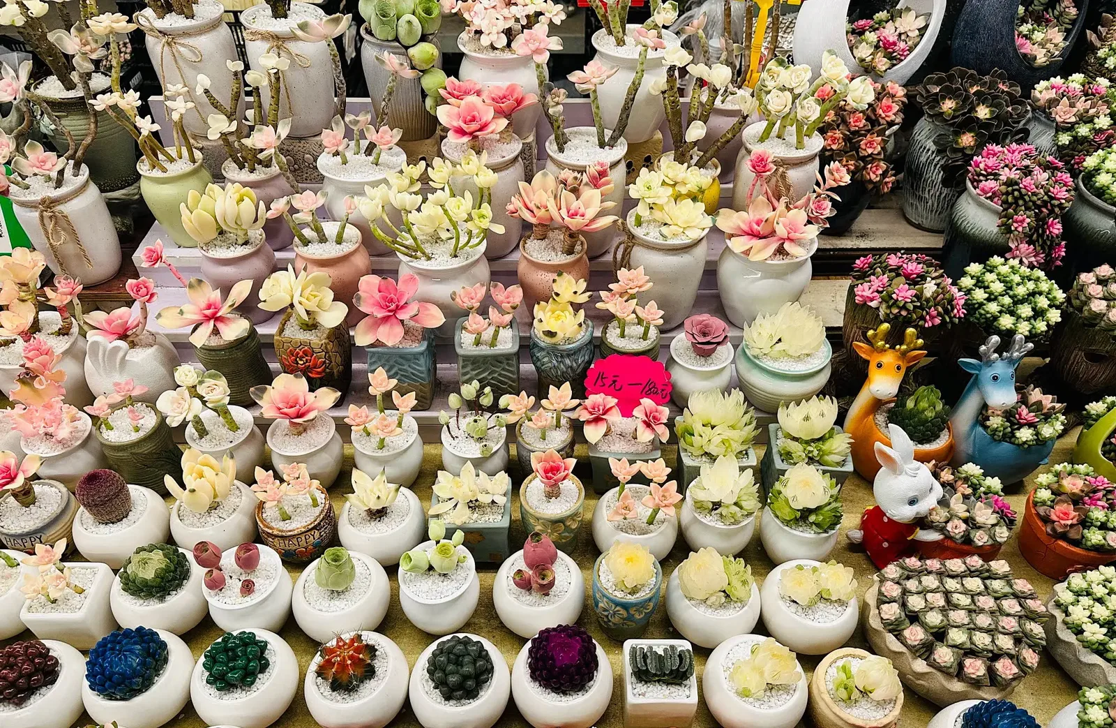 Southern flower markets full of blooms awaiting buyers